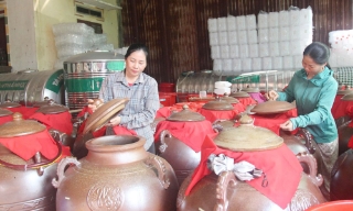  Nông dân Sơn Động năng động phát triển kinh tế, vươn lên thoát nghèo bền vững